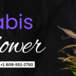 Cannabis Dispensary Flower