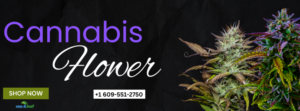Cannabis Dispensary Flower