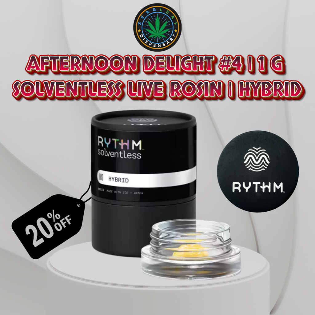 afternoon delight hybrid