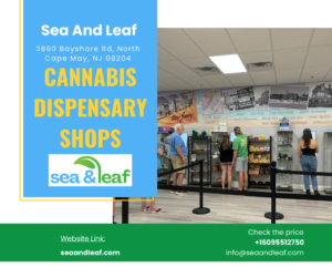 Cannabis Dispensary Shops