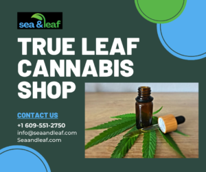 True Leaf Cannabis Shop