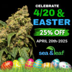 4/20 & Easter Celebrate