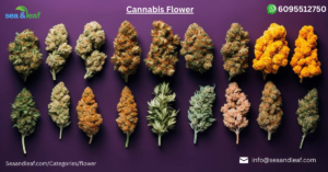 Cannabis Flower Strains