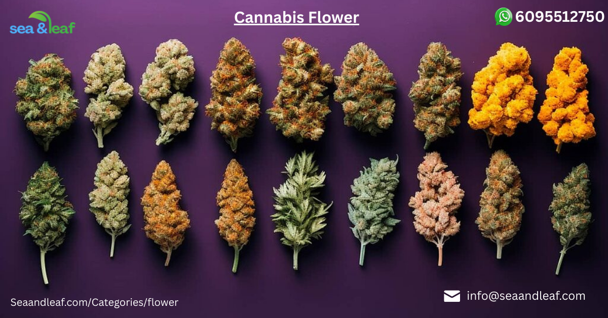 Cannabis Flower Strains