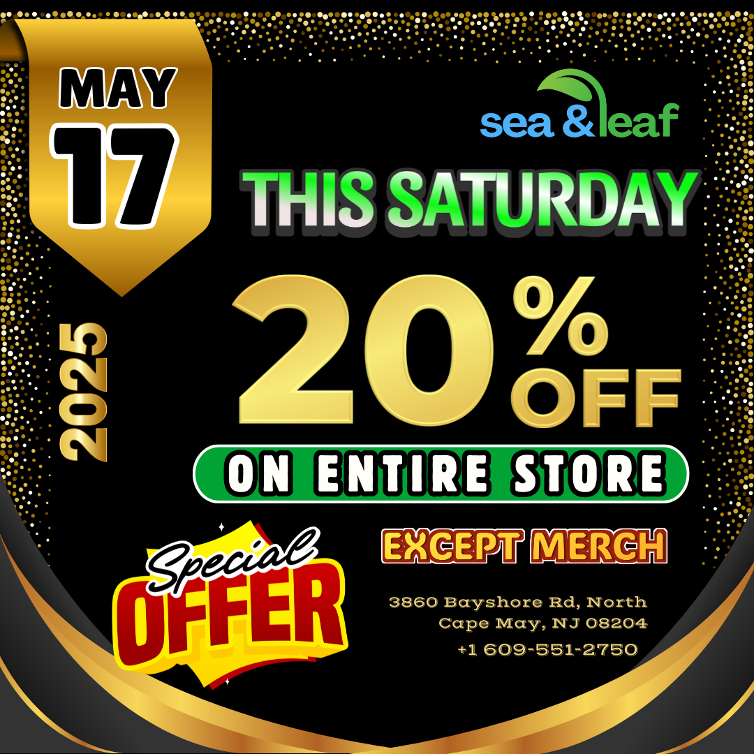 Popup Image