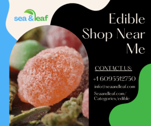 Edible Shop Near Me
