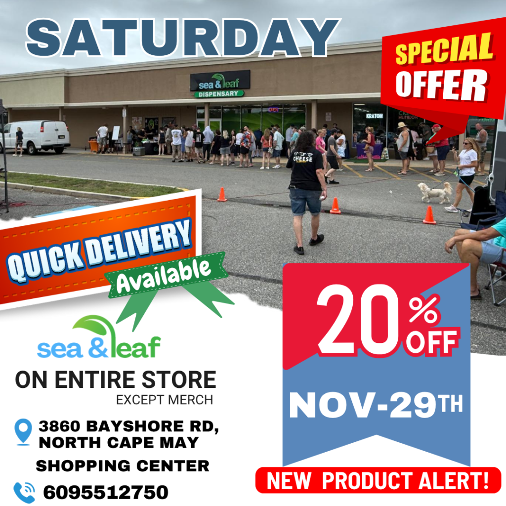 SEA AND LEAF 25-11-2025