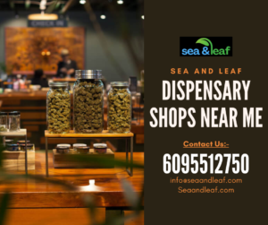 Dispensary Shops Near Me